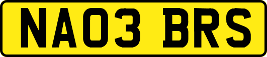 NA03BRS