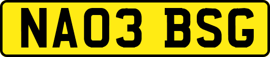 NA03BSG