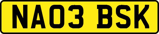 NA03BSK