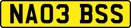 NA03BSS