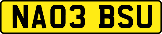 NA03BSU