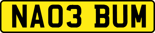 NA03BUM