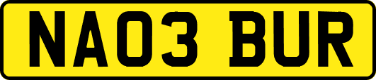NA03BUR