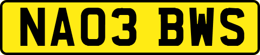 NA03BWS