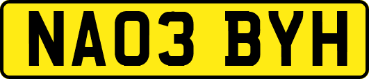 NA03BYH