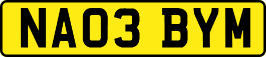 NA03BYM