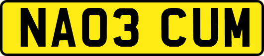 NA03CUM