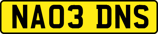 NA03DNS