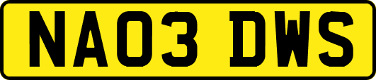 NA03DWS
