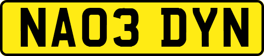 NA03DYN
