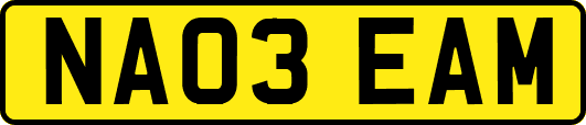 NA03EAM