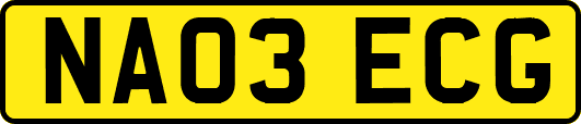 NA03ECG