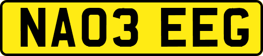 NA03EEG