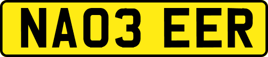 NA03EER