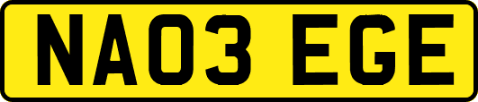 NA03EGE