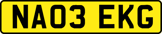 NA03EKG