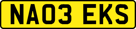 NA03EKS