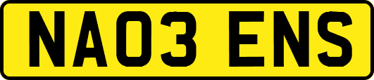 NA03ENS