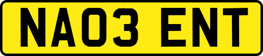 NA03ENT