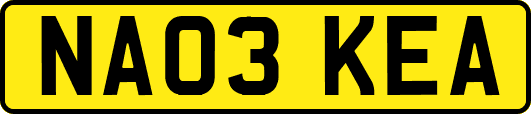 NA03KEA