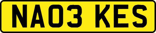 NA03KES
