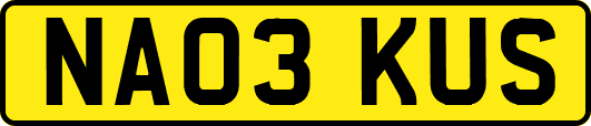 NA03KUS