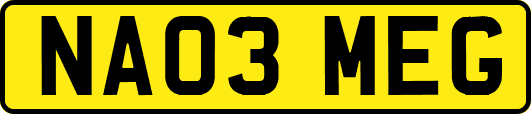 NA03MEG