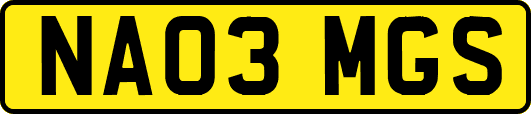 NA03MGS