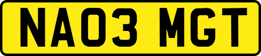NA03MGT