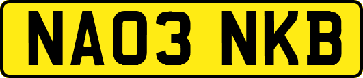 NA03NKB