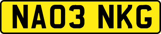 NA03NKG