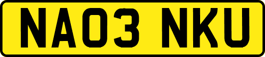 NA03NKU