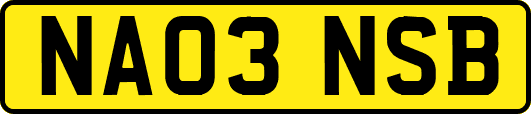 NA03NSB