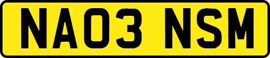 NA03NSM