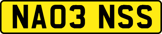 NA03NSS