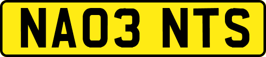 NA03NTS