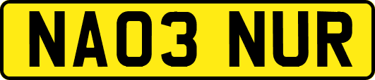 NA03NUR