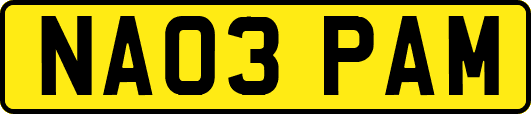 NA03PAM