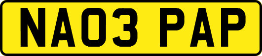 NA03PAP