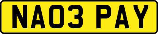 NA03PAY