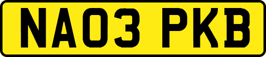 NA03PKB