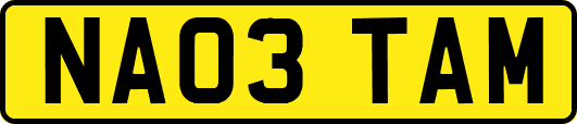 NA03TAM