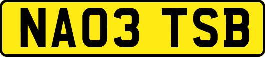 NA03TSB