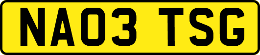 NA03TSG