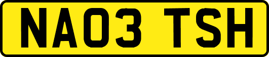 NA03TSH