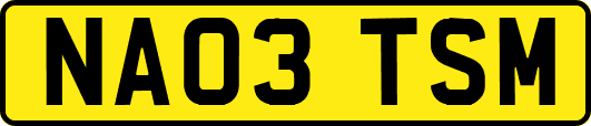 NA03TSM