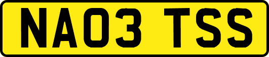 NA03TSS