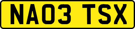 NA03TSX