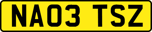 NA03TSZ