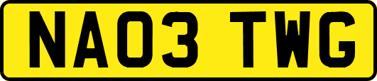 NA03TWG